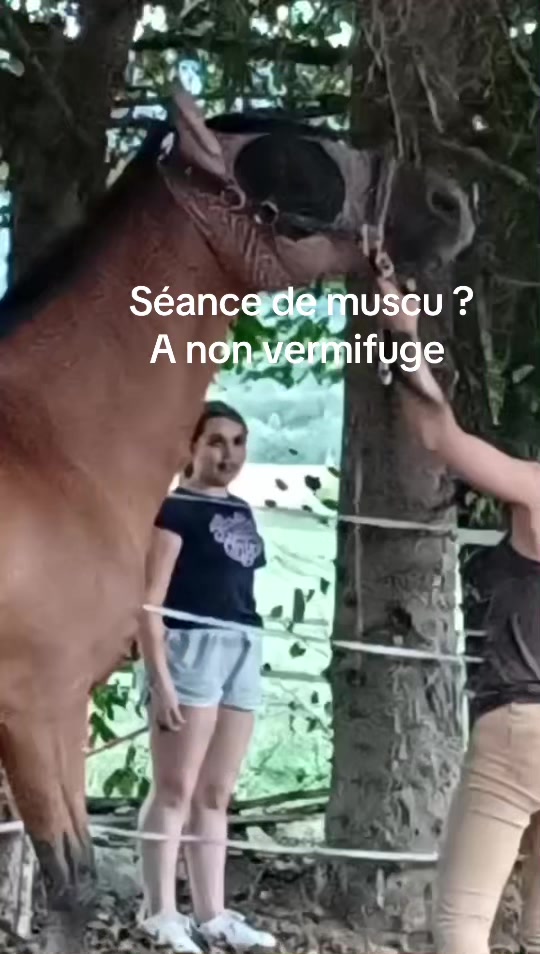 @SarahHemir
