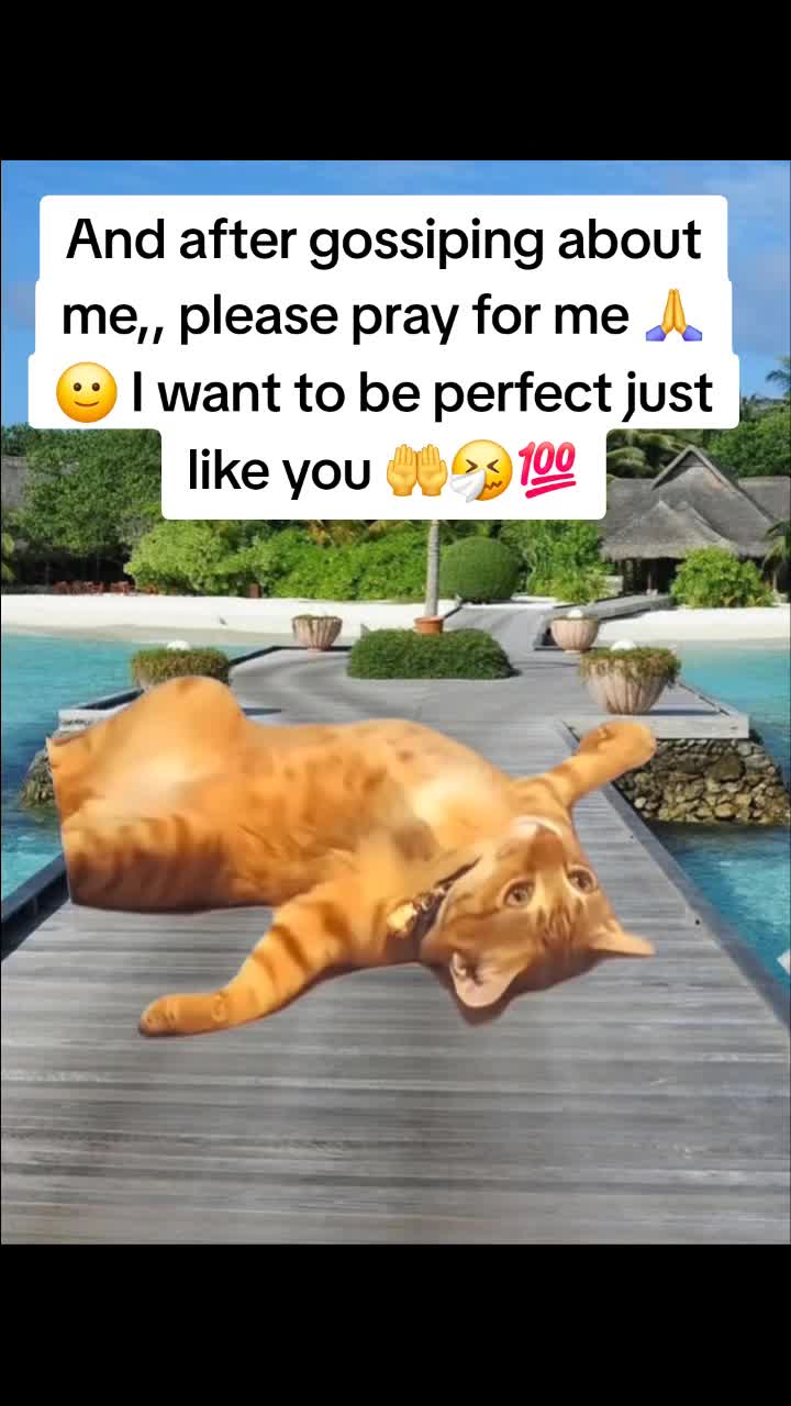 @Miss Vibez ๐ค๐๐