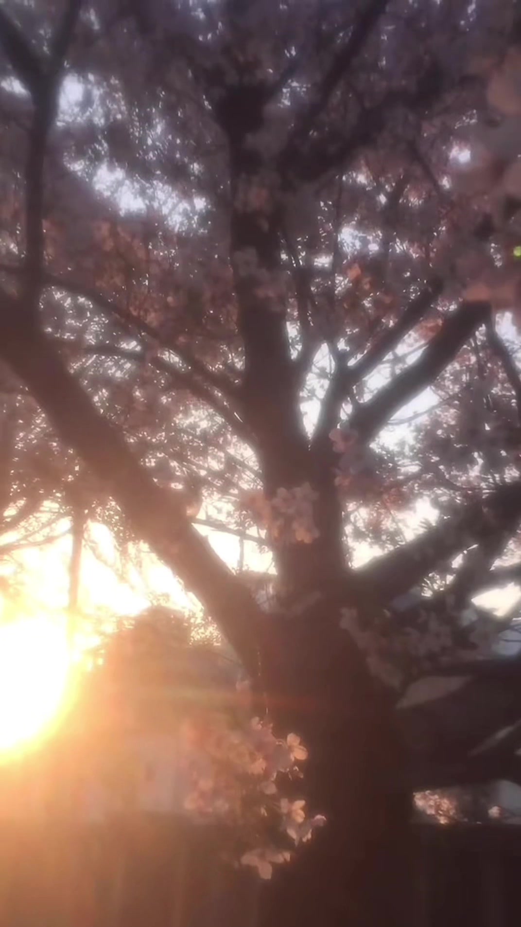 @❤︎
