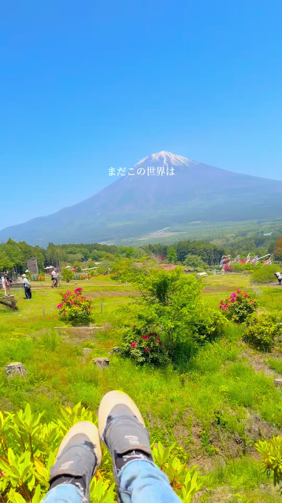 @枠荒らしの嫌われリスナー
