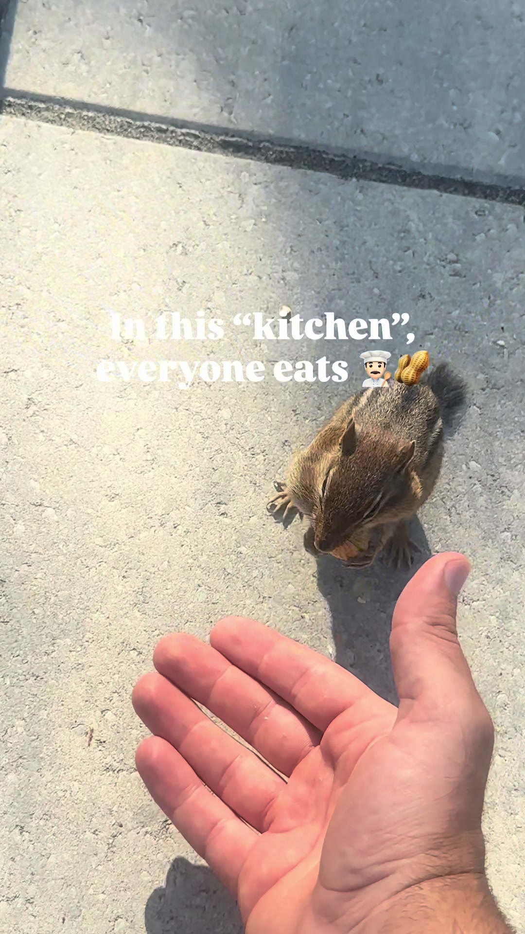 @imchefmatt