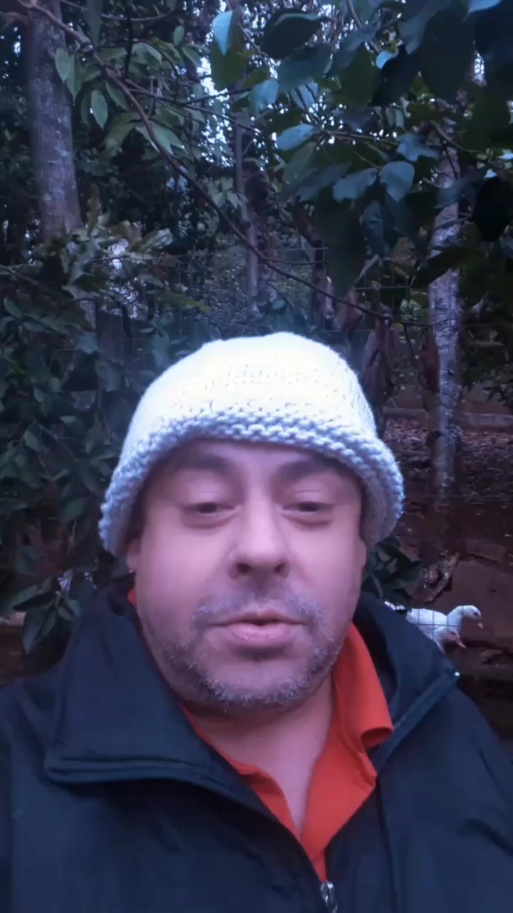 @Silva Rodrigo