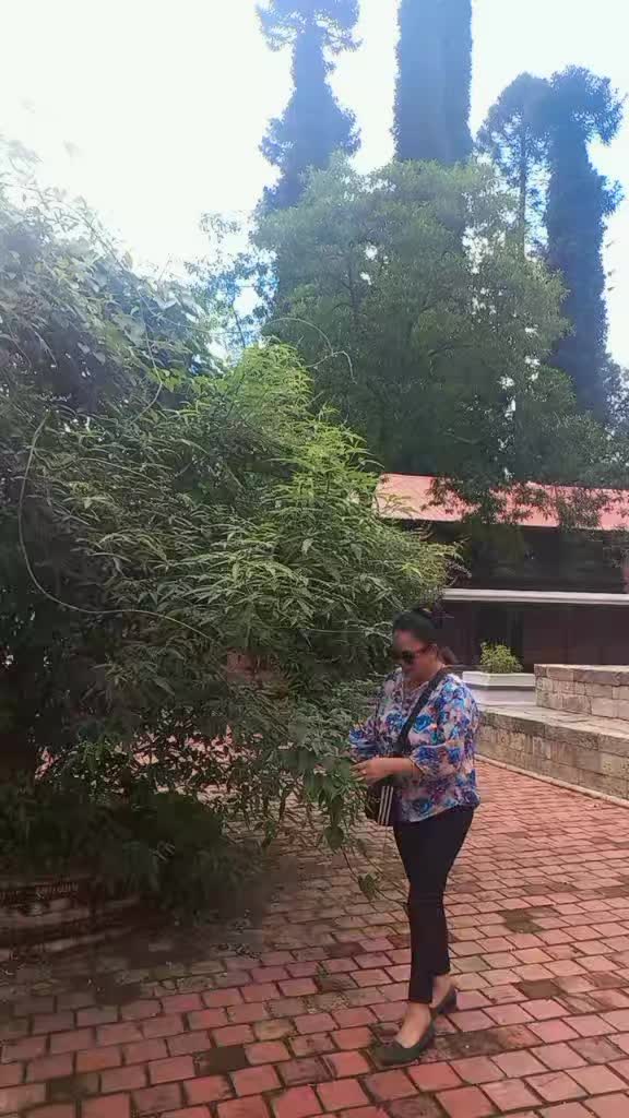 @Muna lama