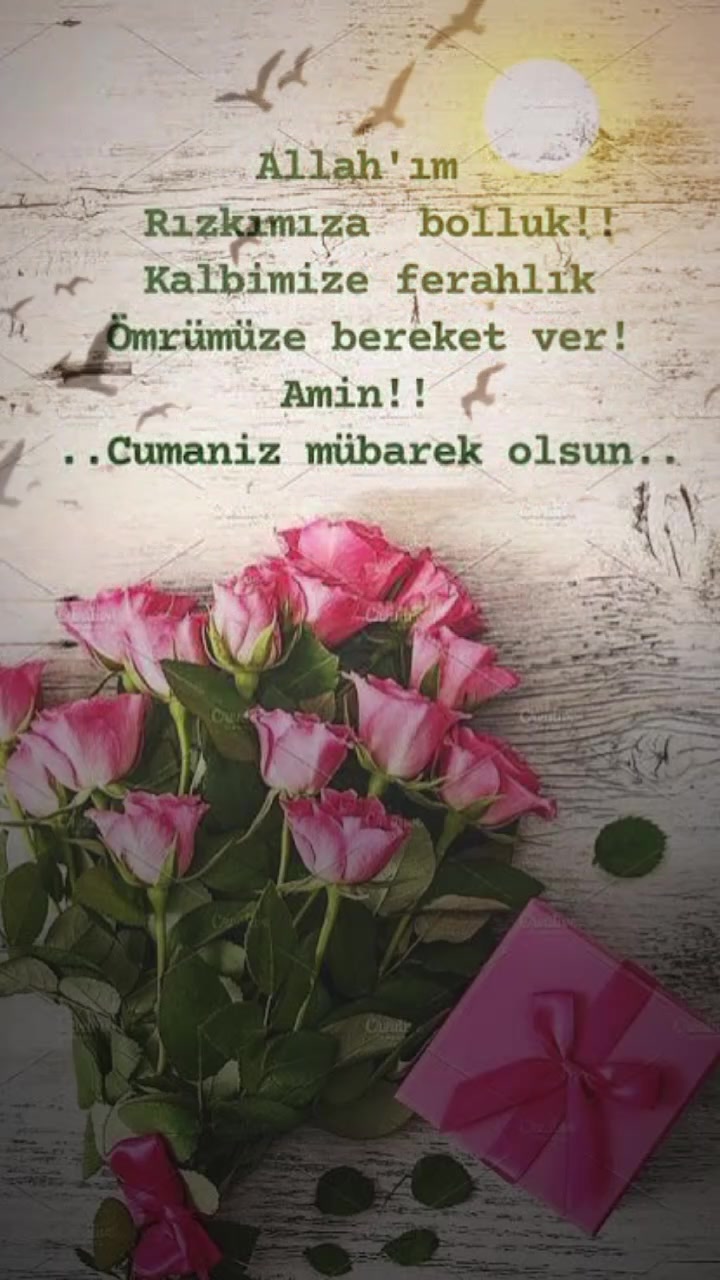 @İSOO