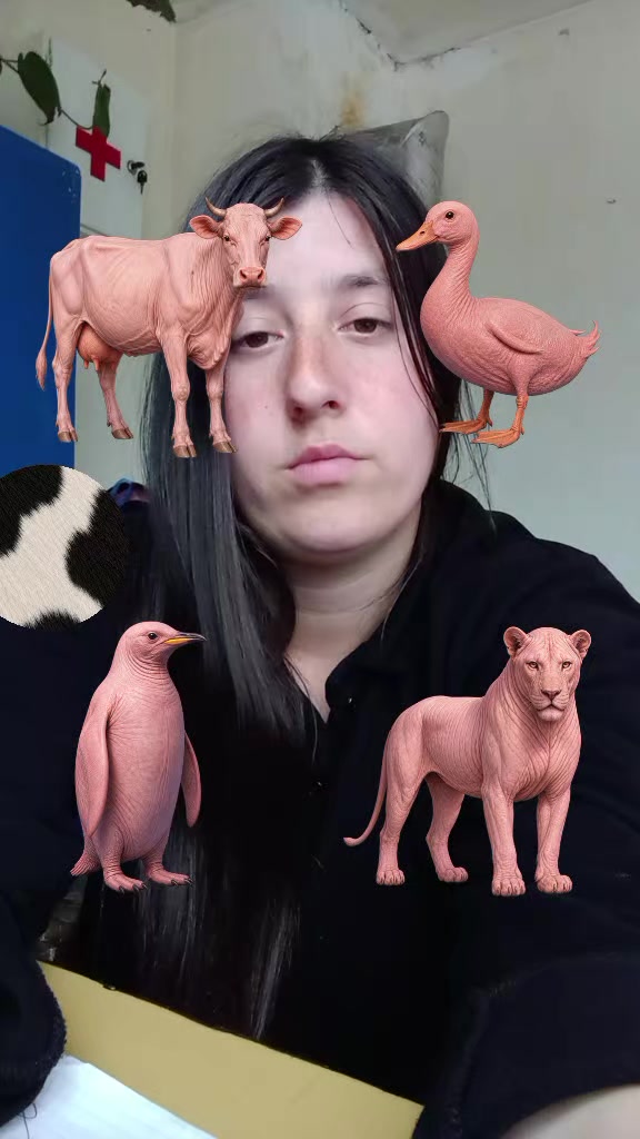@Tamara Jovanovic
