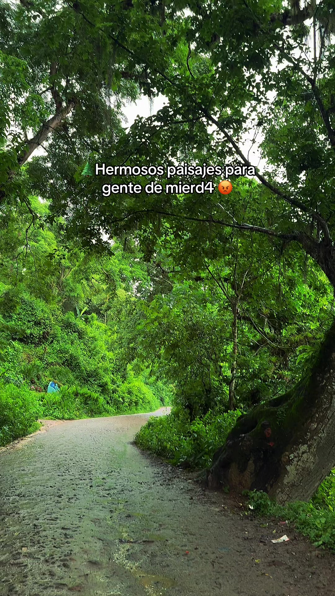 @antomarc.alv