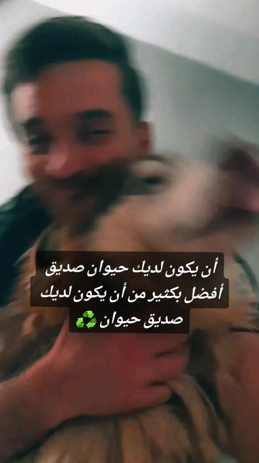 @Znis_off