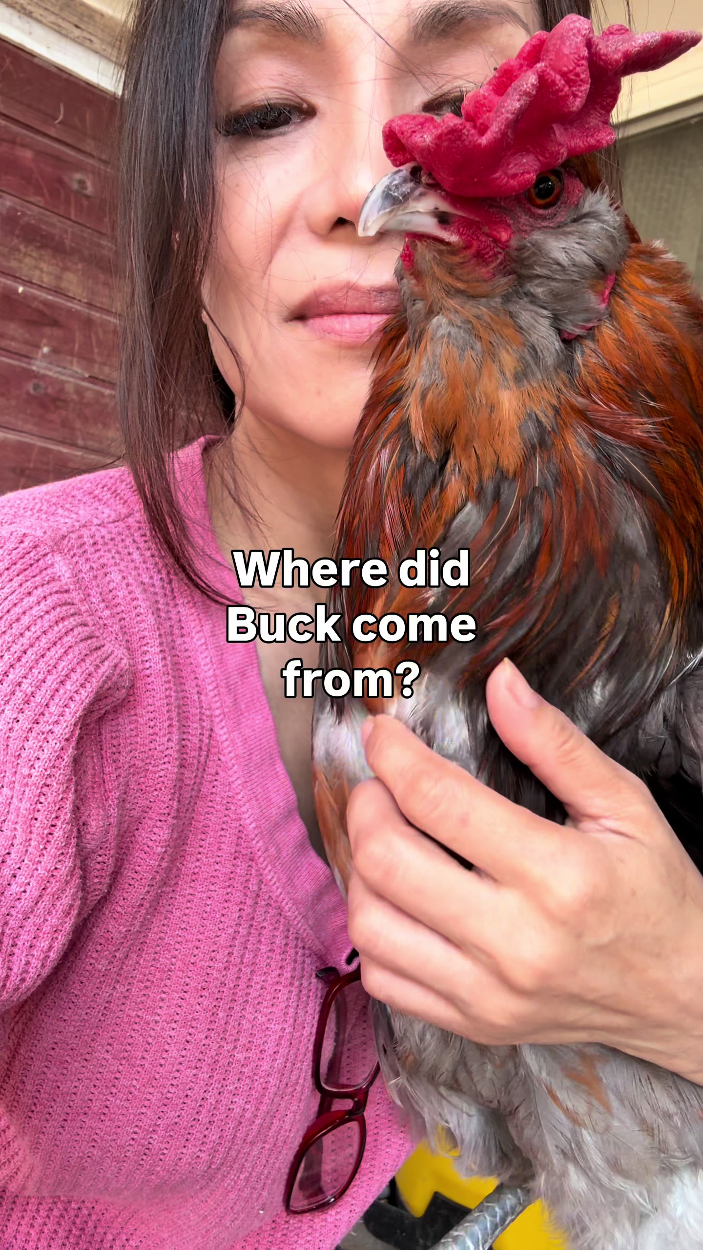 @The Real Estate Chick