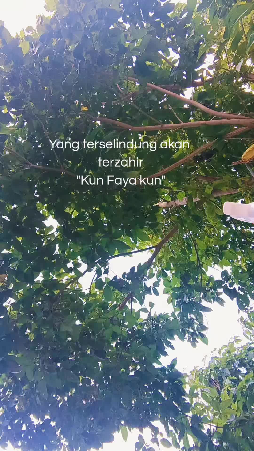 @C'ya:Guna Review Dr 🤍