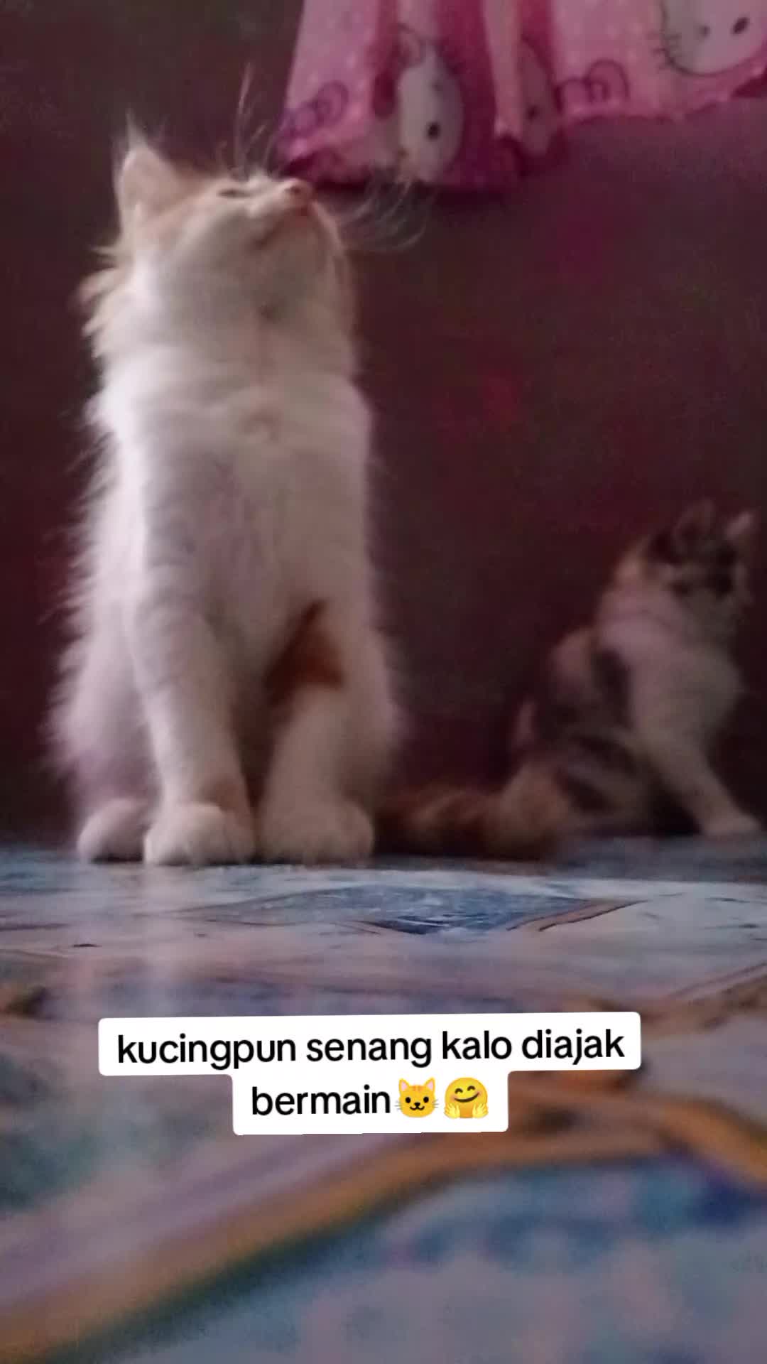 @Lina herlina