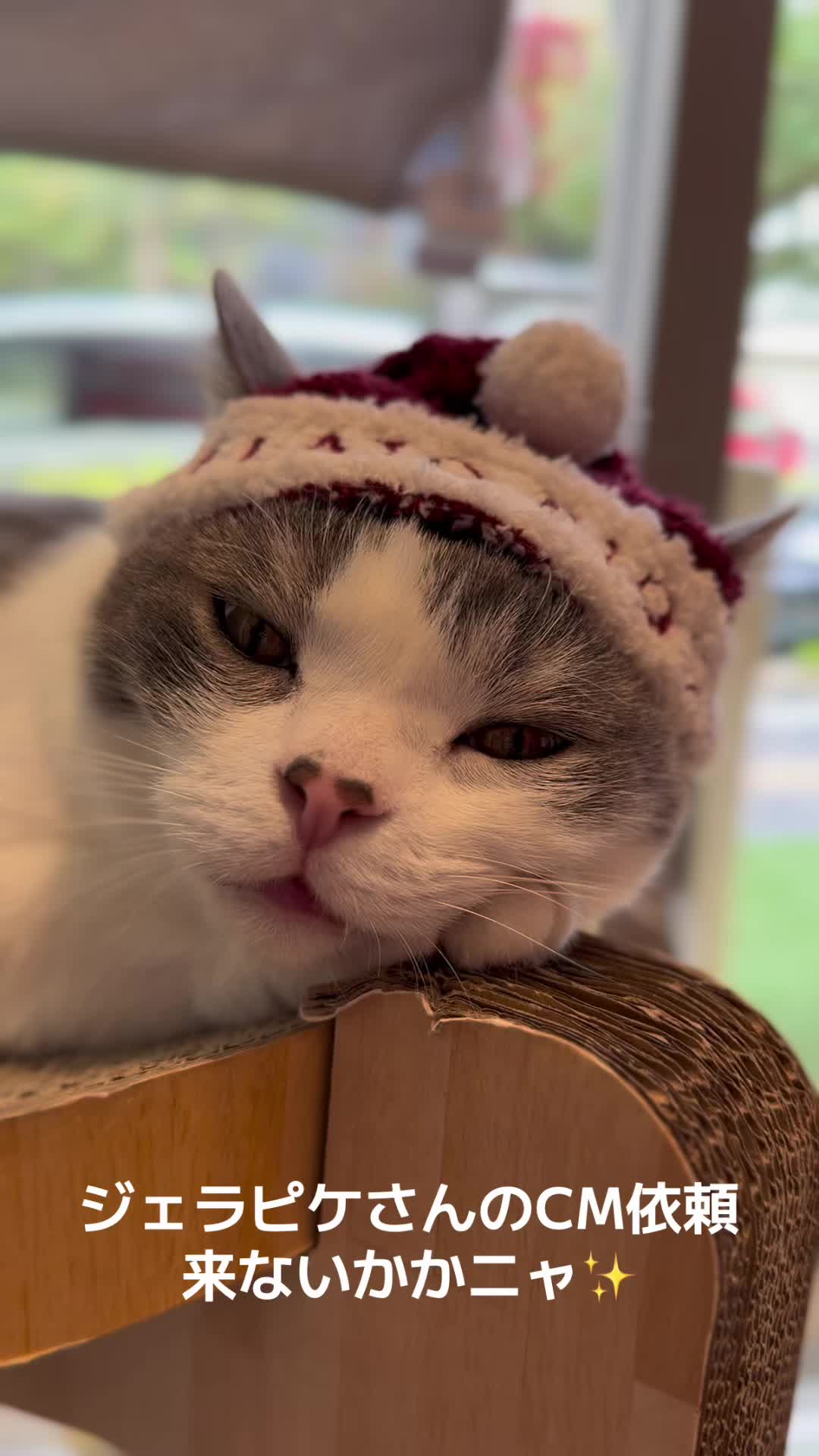 @ラブリーデイ