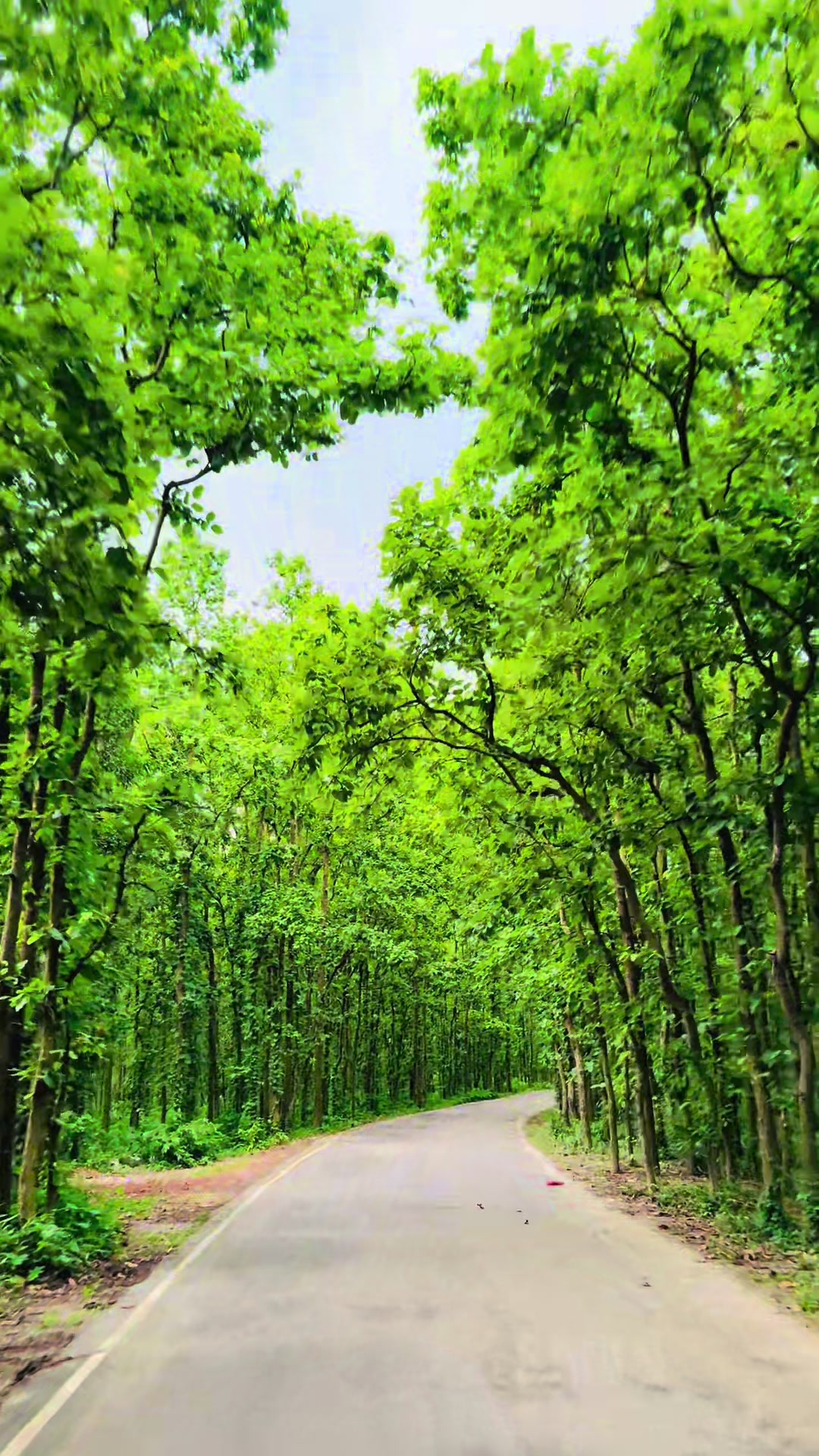 @🌼[ " CaFe শীতল হাওয়া " ]🌼