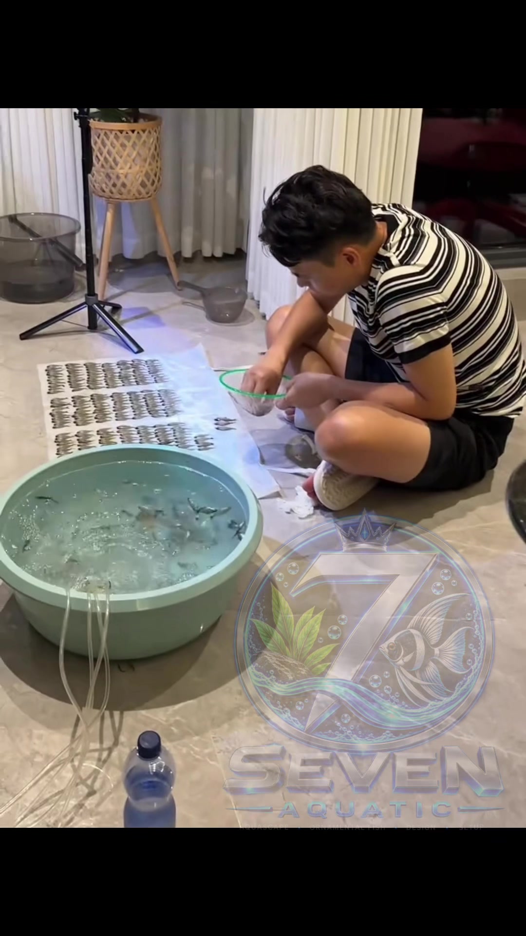 @Layout Biotope Sài Gòn VTV