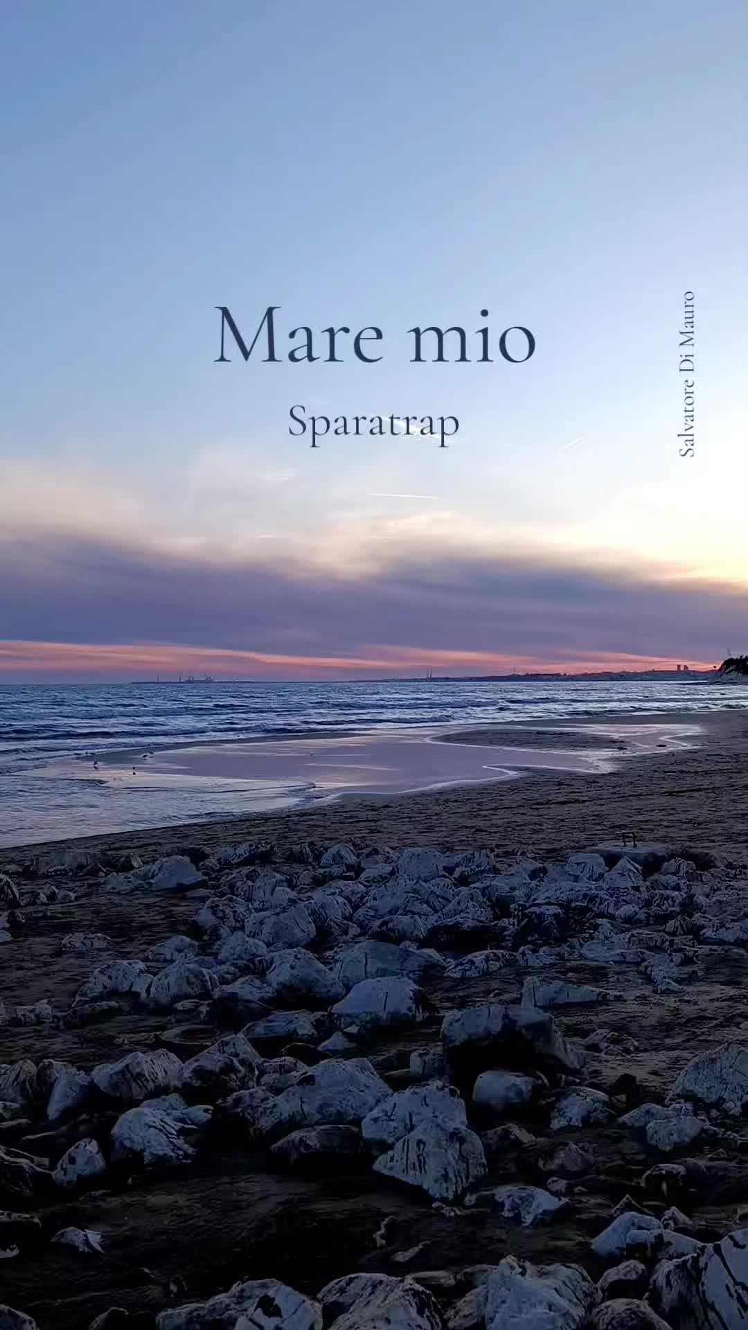 @Salvatore Di Mauro