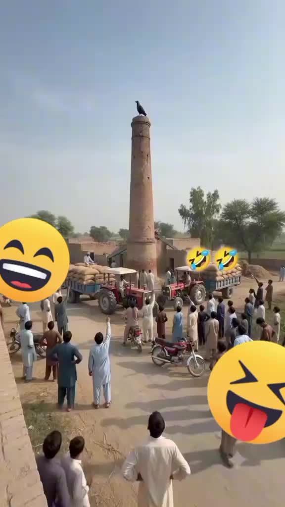 @ladu375