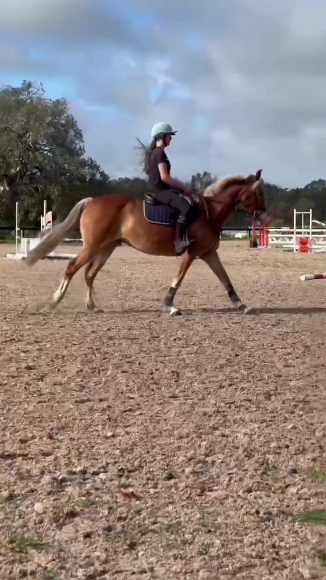 @🖤 Savs ponies🤍