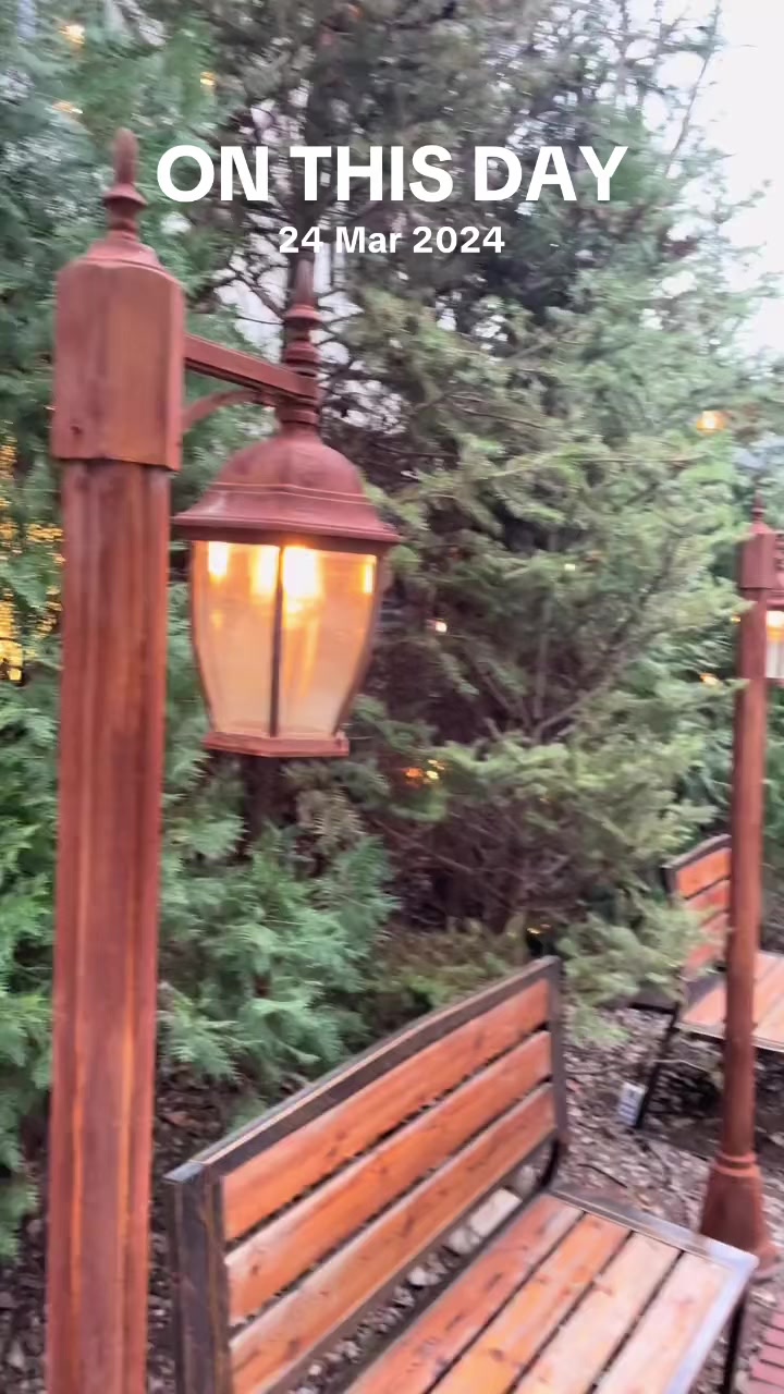 @A_Rai🌻