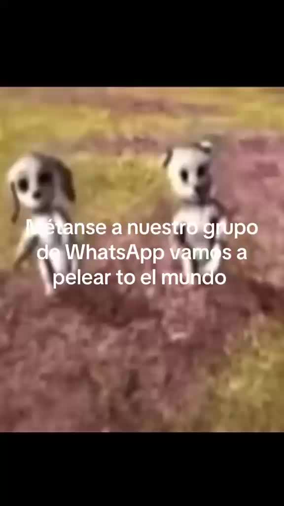 @Los opinologos