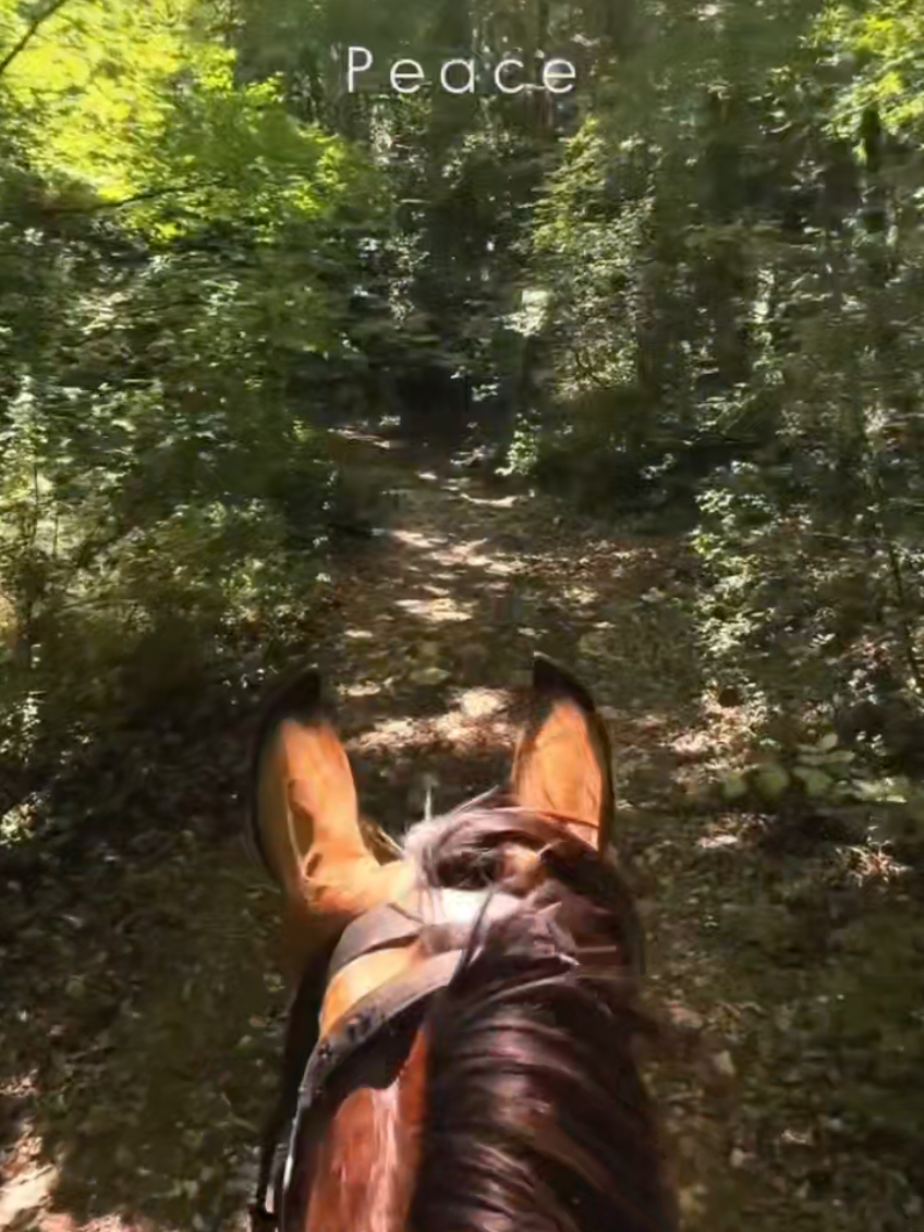 @streamhorse