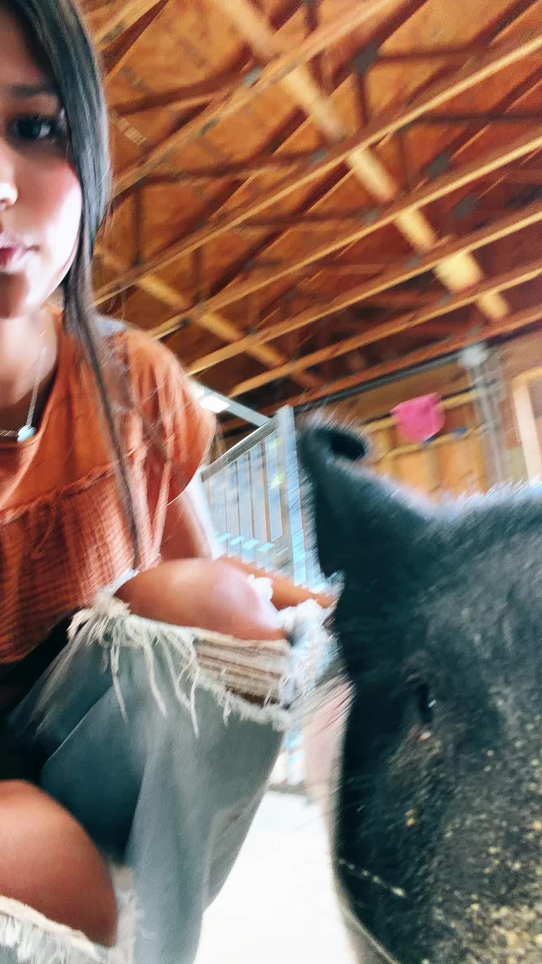 @AG 🦓💝