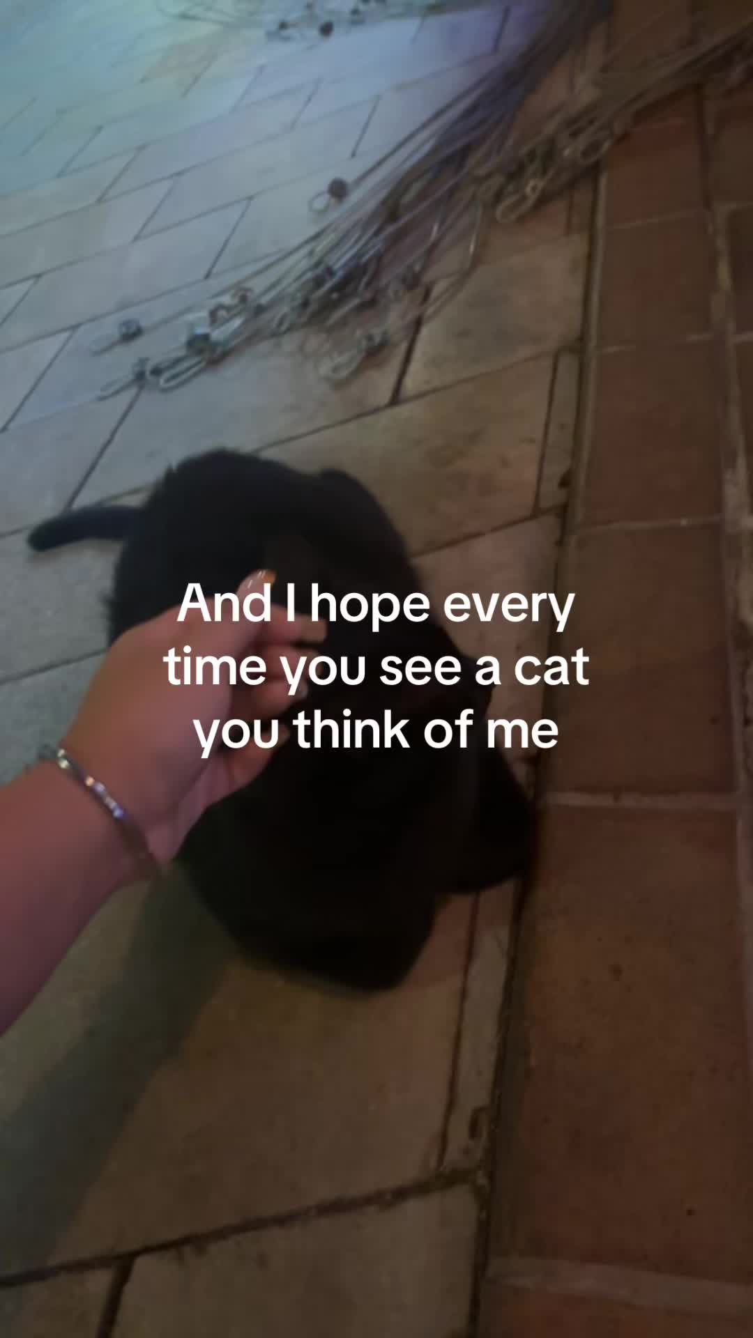 @Ceyda
