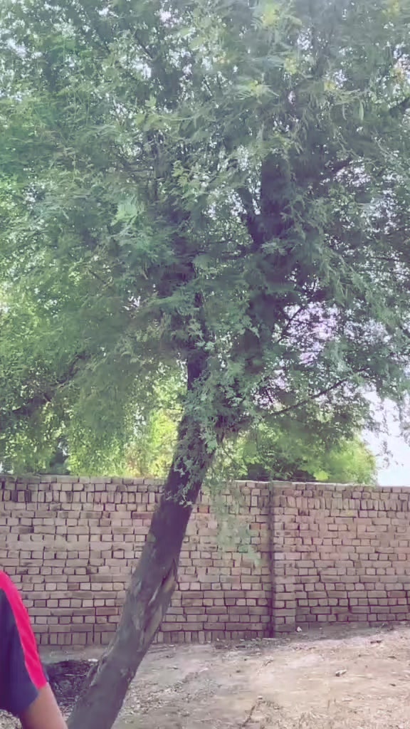 @HAسEEB🥷🏻