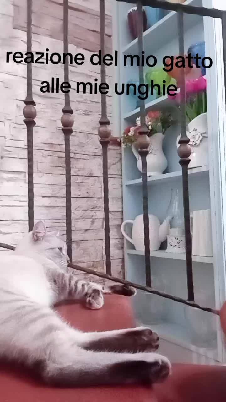 @giuli