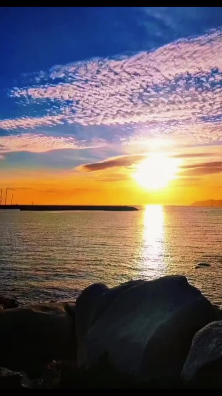 @𝑨𝑵𝑫𝑹𝑨 🌸