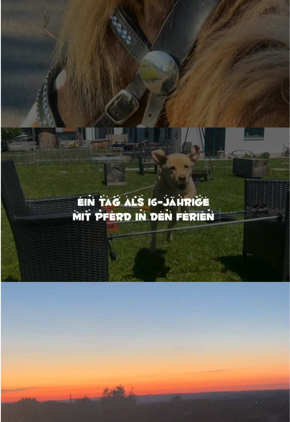 @ina_24.01