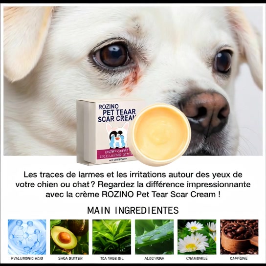 @26 Le Chat