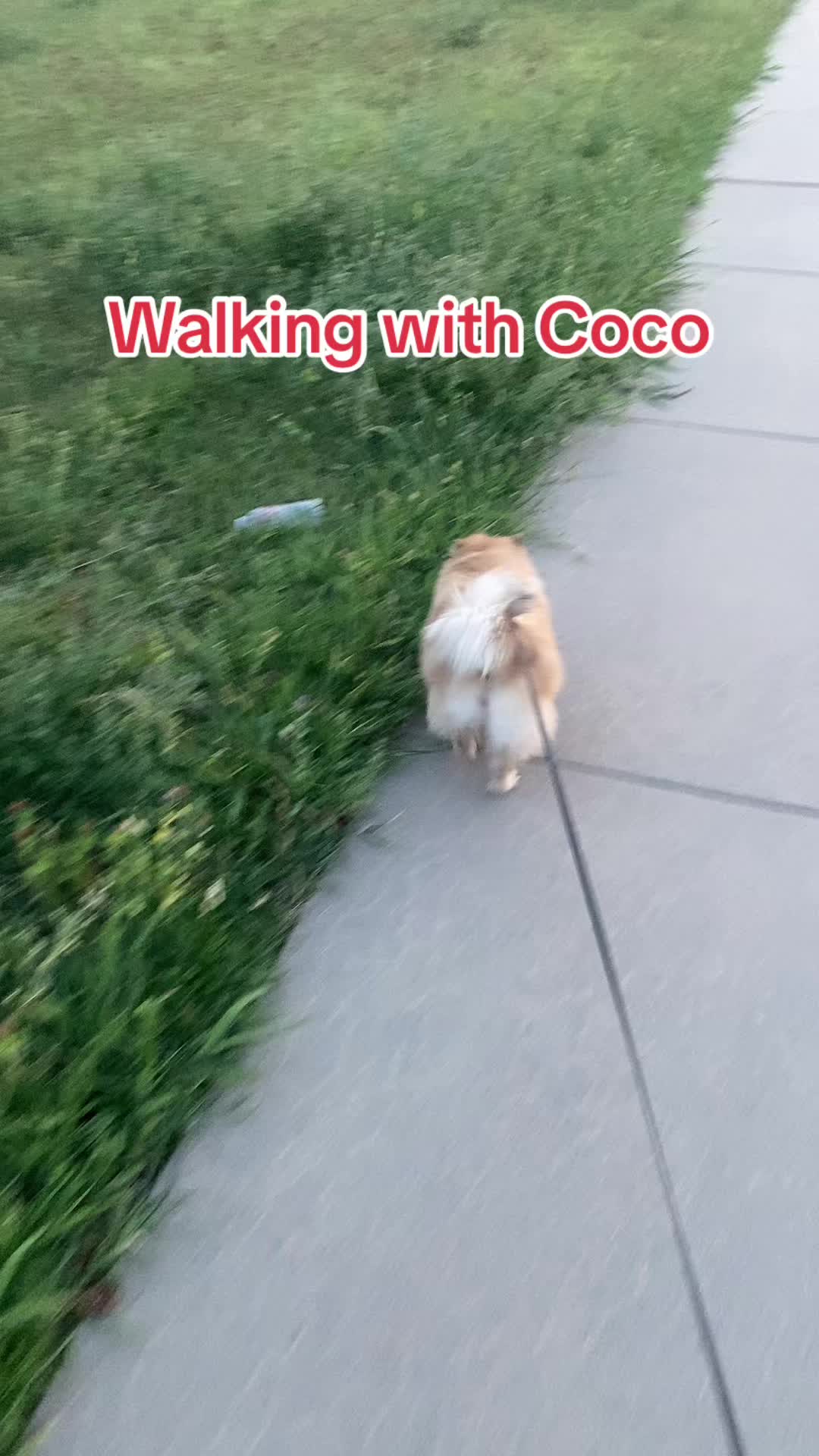 @chino_mexicano_88
