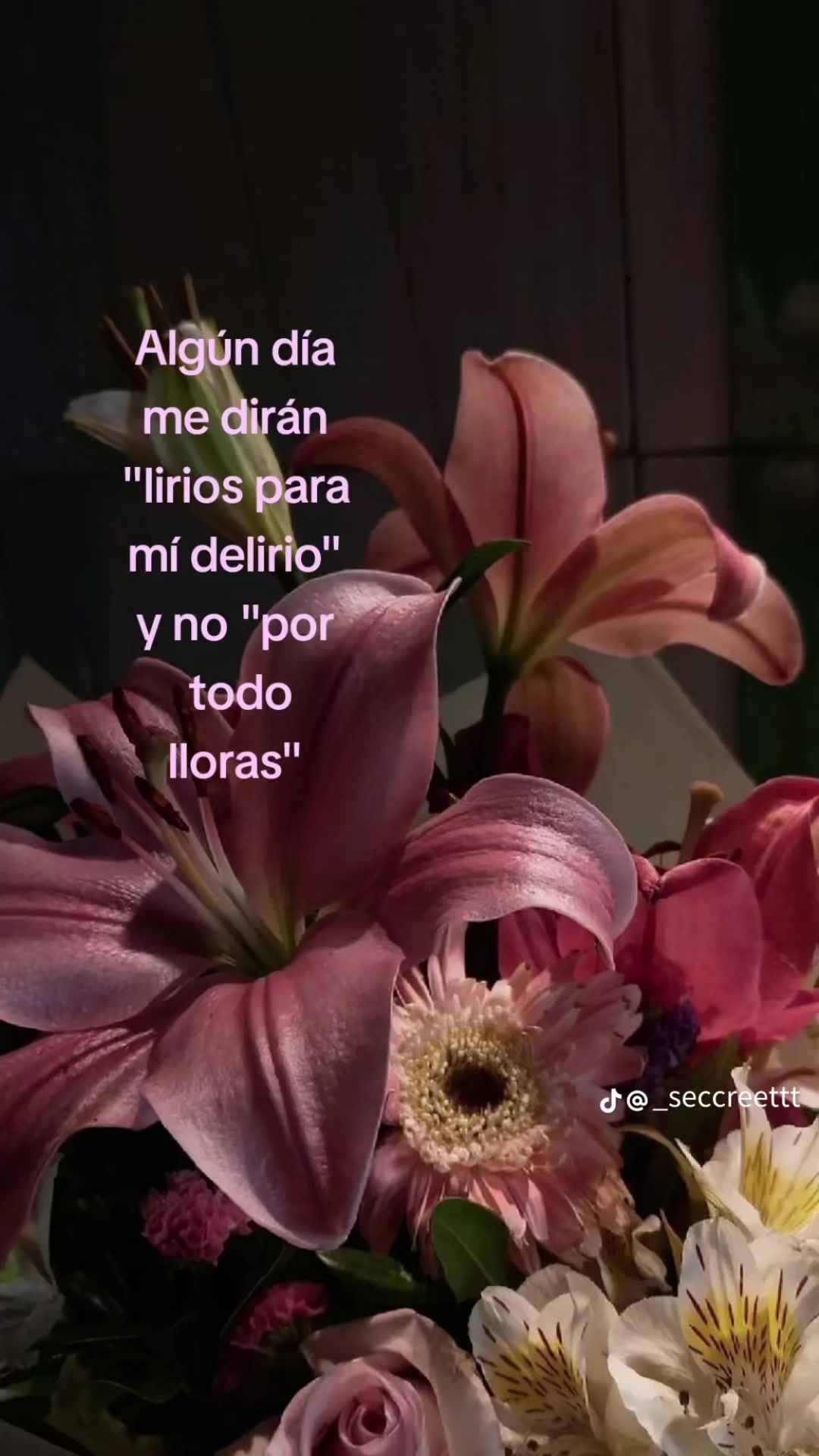 @Ivetth Arteaga