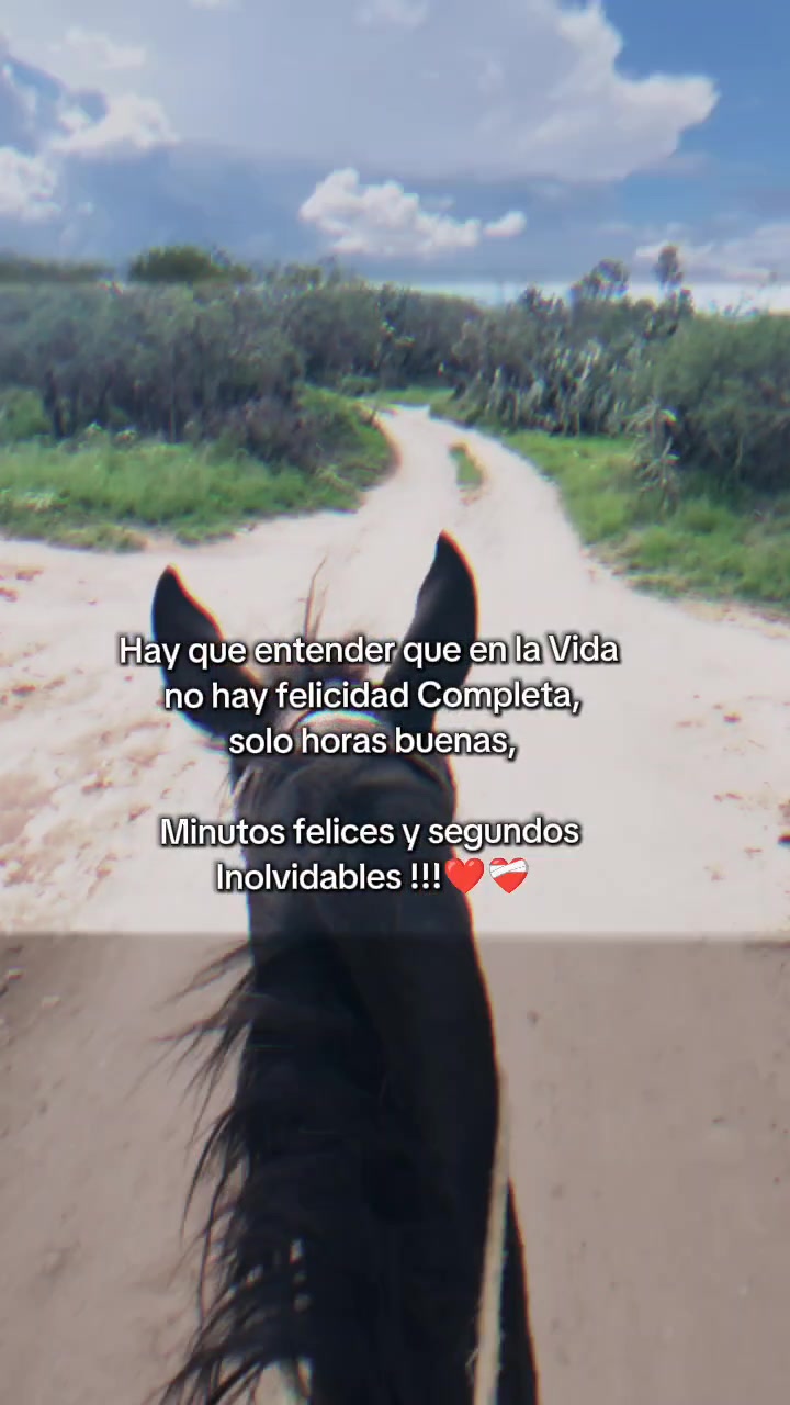 @Herrera 55333