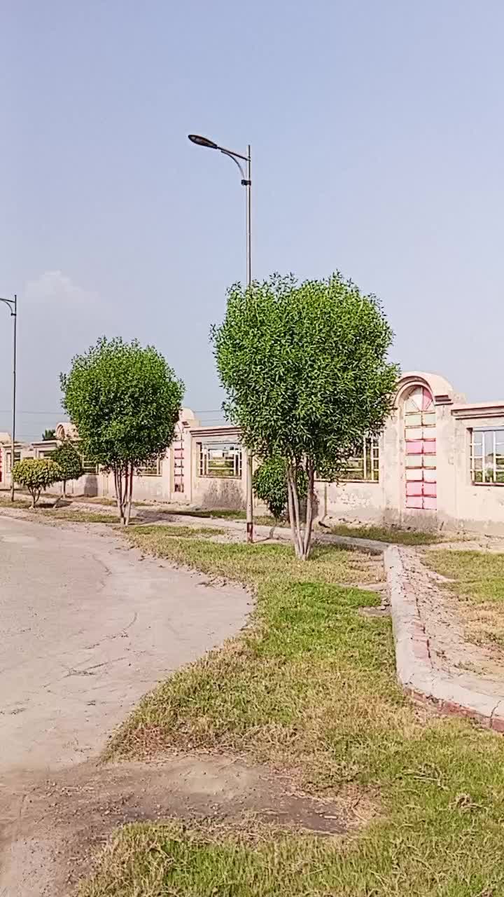 @Mushtaq_Khan