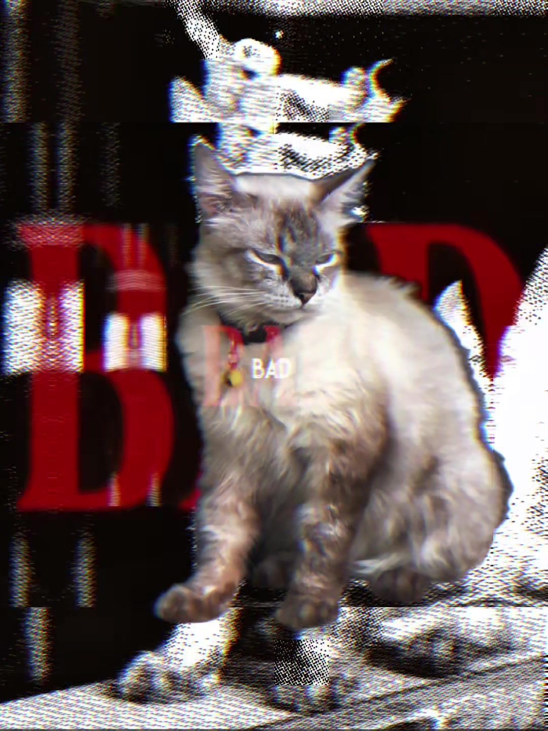 @๐๐๐โฐโด
