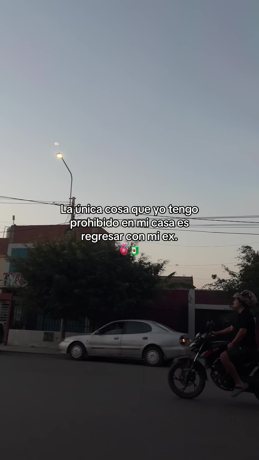 @Gatocix 🐱