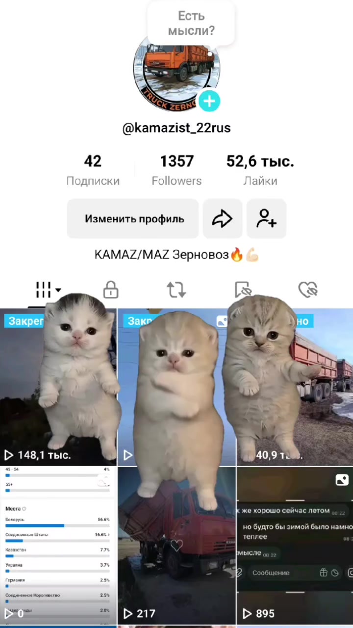 @KamAZist_22rus