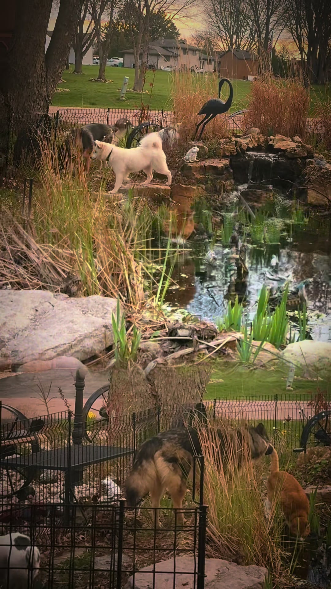 @JuliesSanctuary