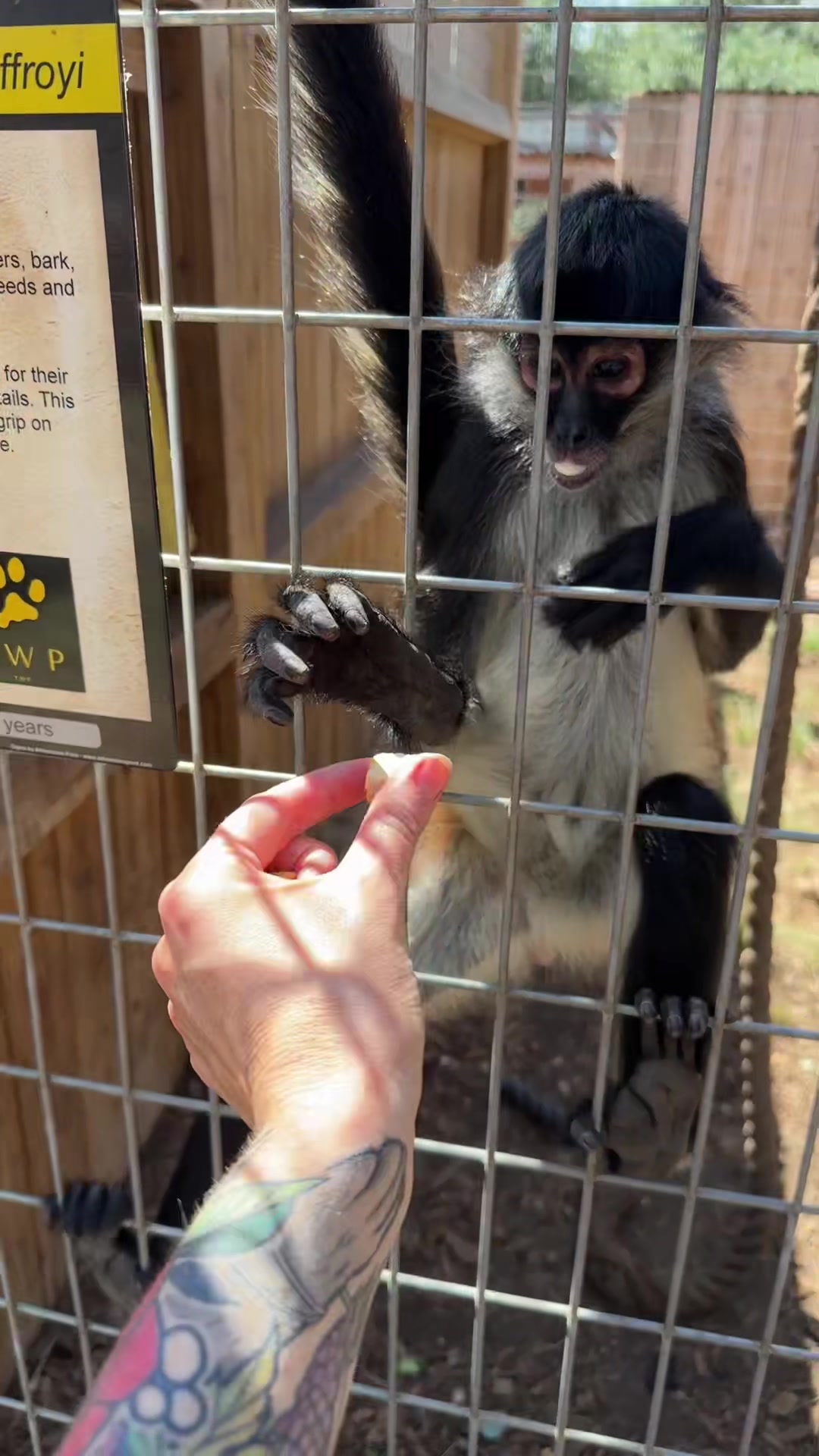 @Texas Wildlife Park
