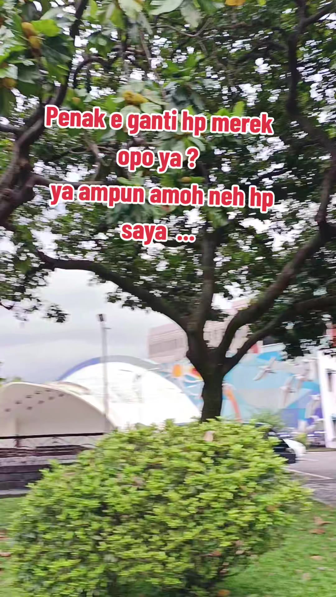 @Nia Permatasari