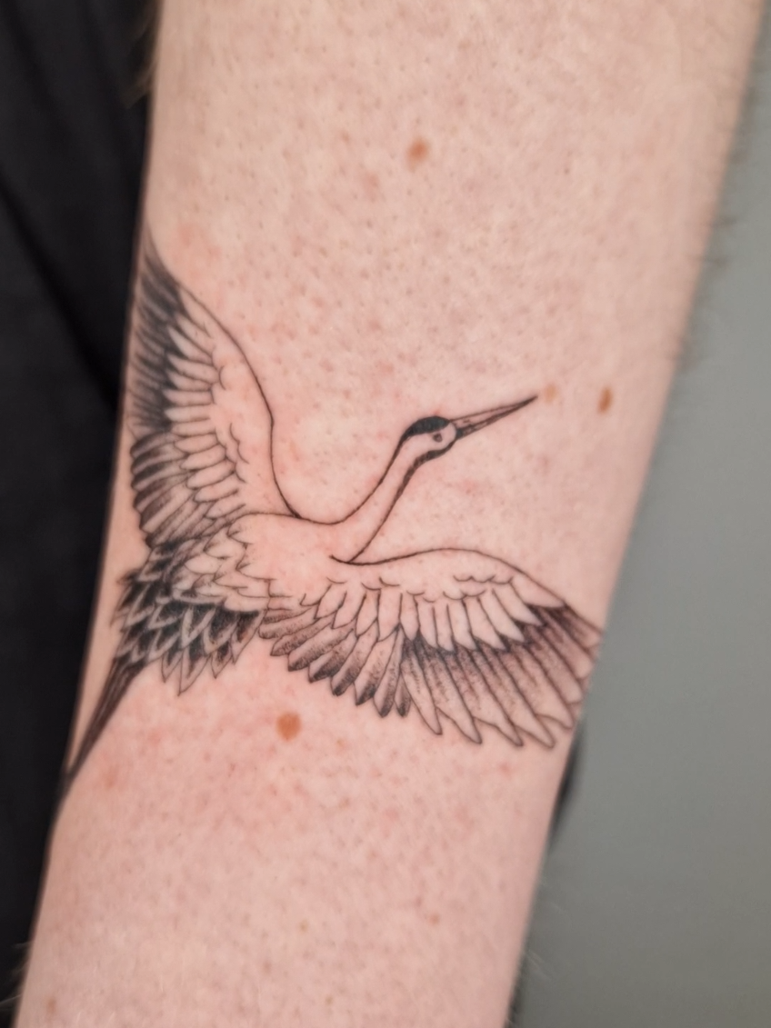 @Single Needle Magic