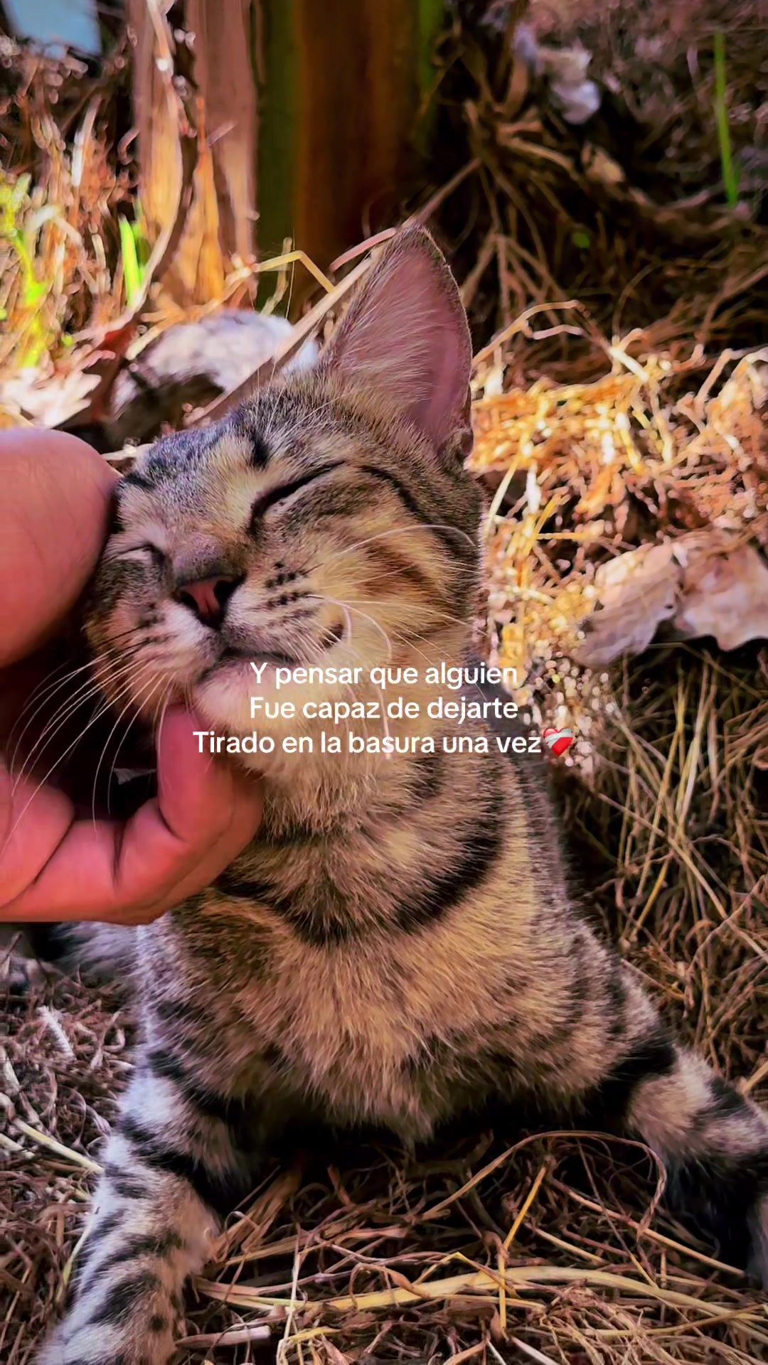 @kxvxn🔱