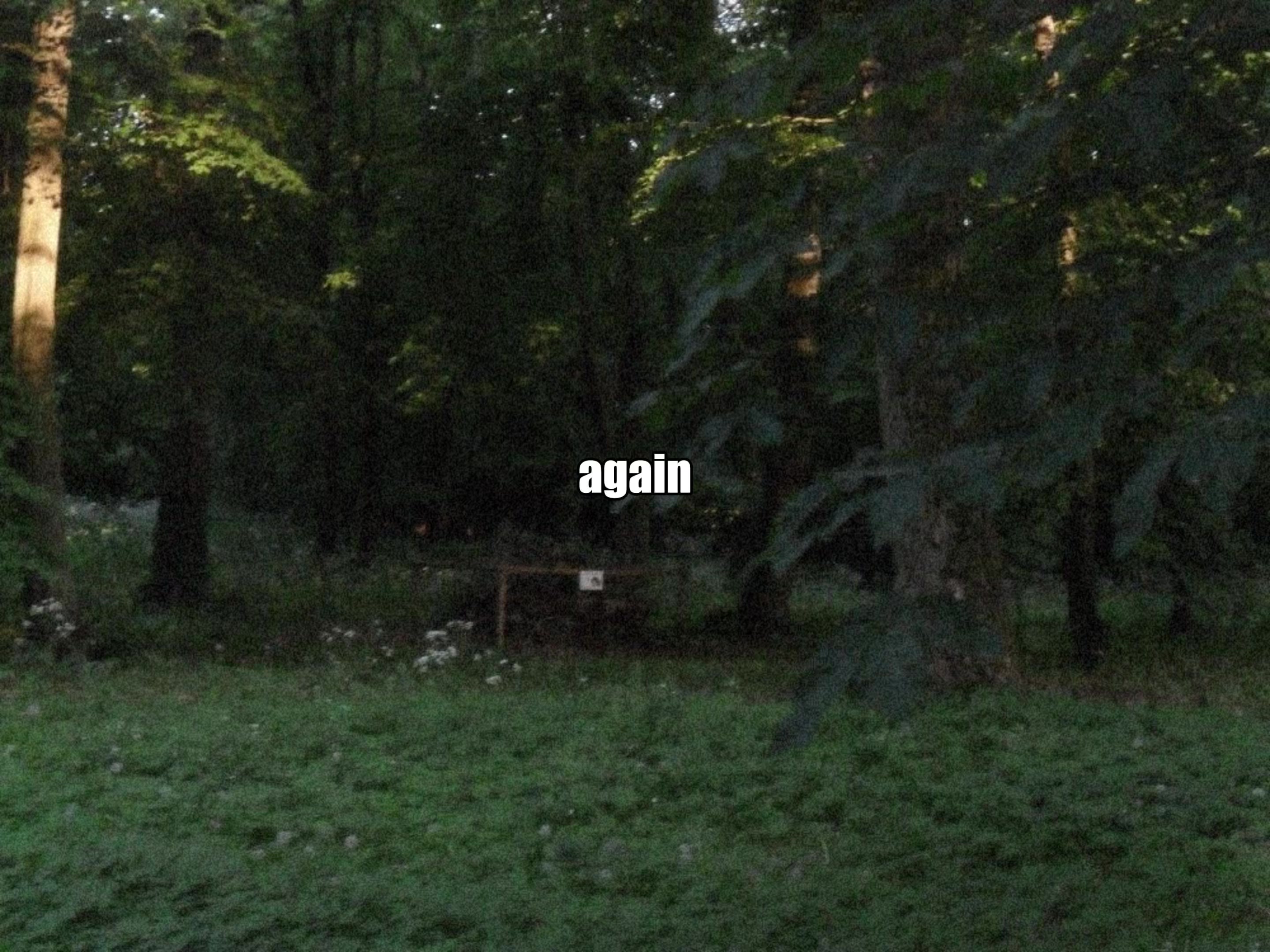 @.💤