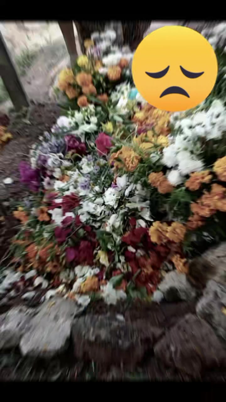 @@catii