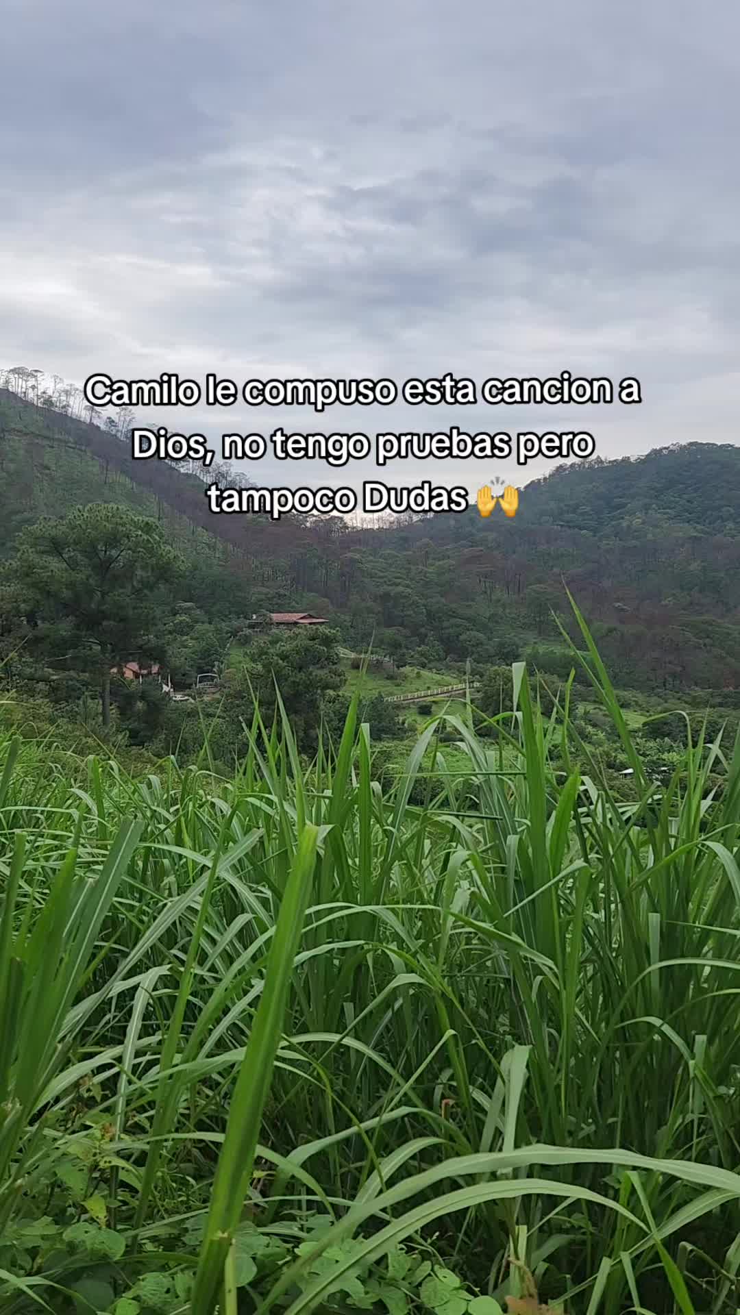 @Geovanna Camargo