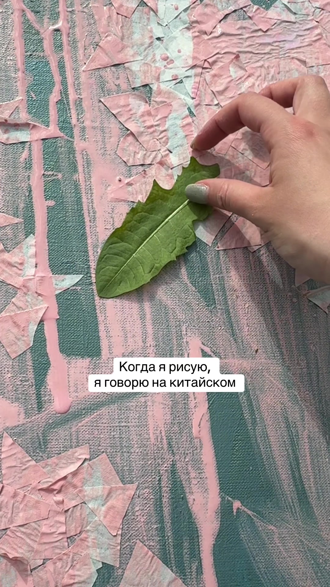 @Elifejka