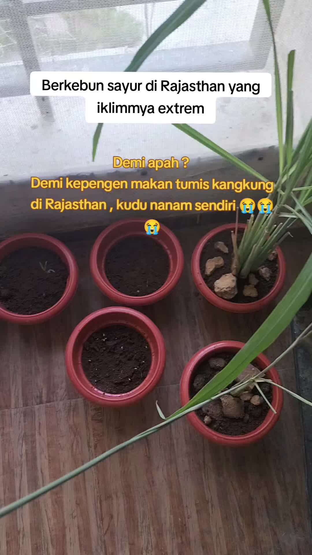 @Dewi19 Singh 🇮🇩🇮🇳