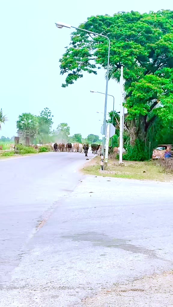 @🦋ပန်းနု🩵