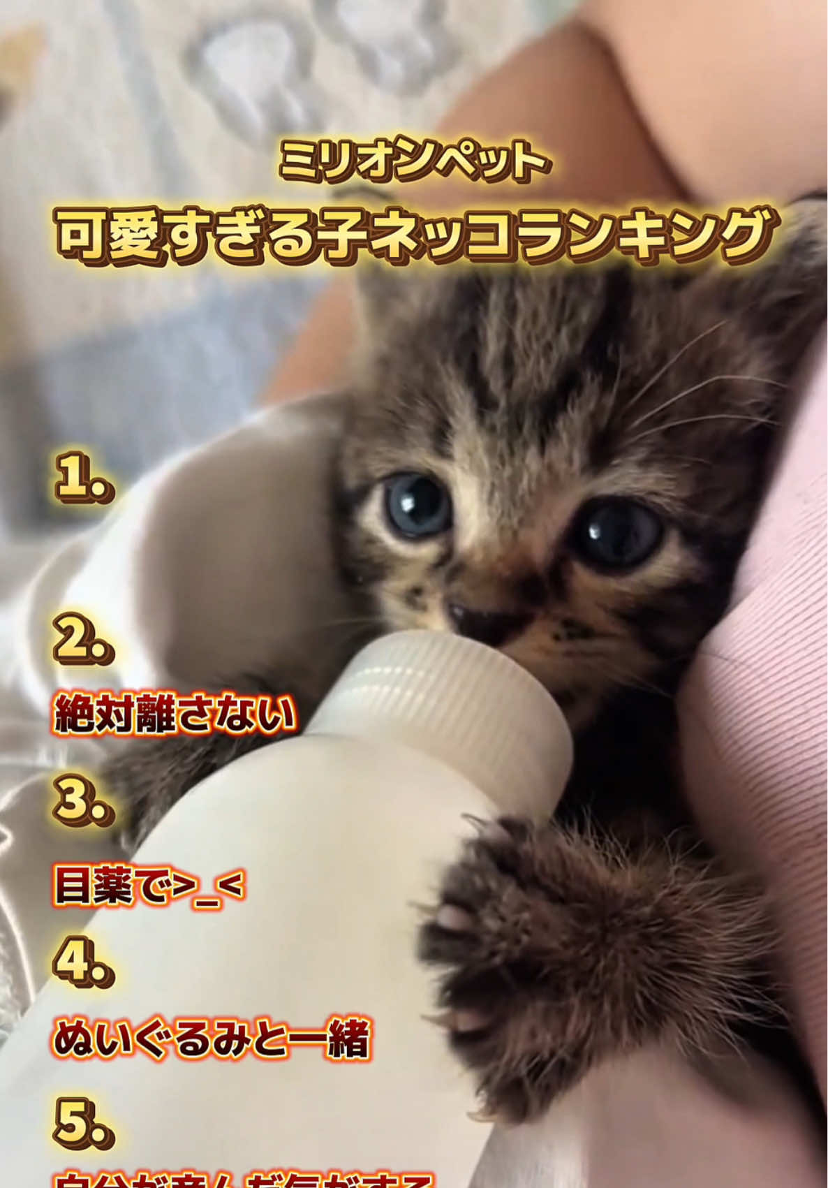@ミリオンペット