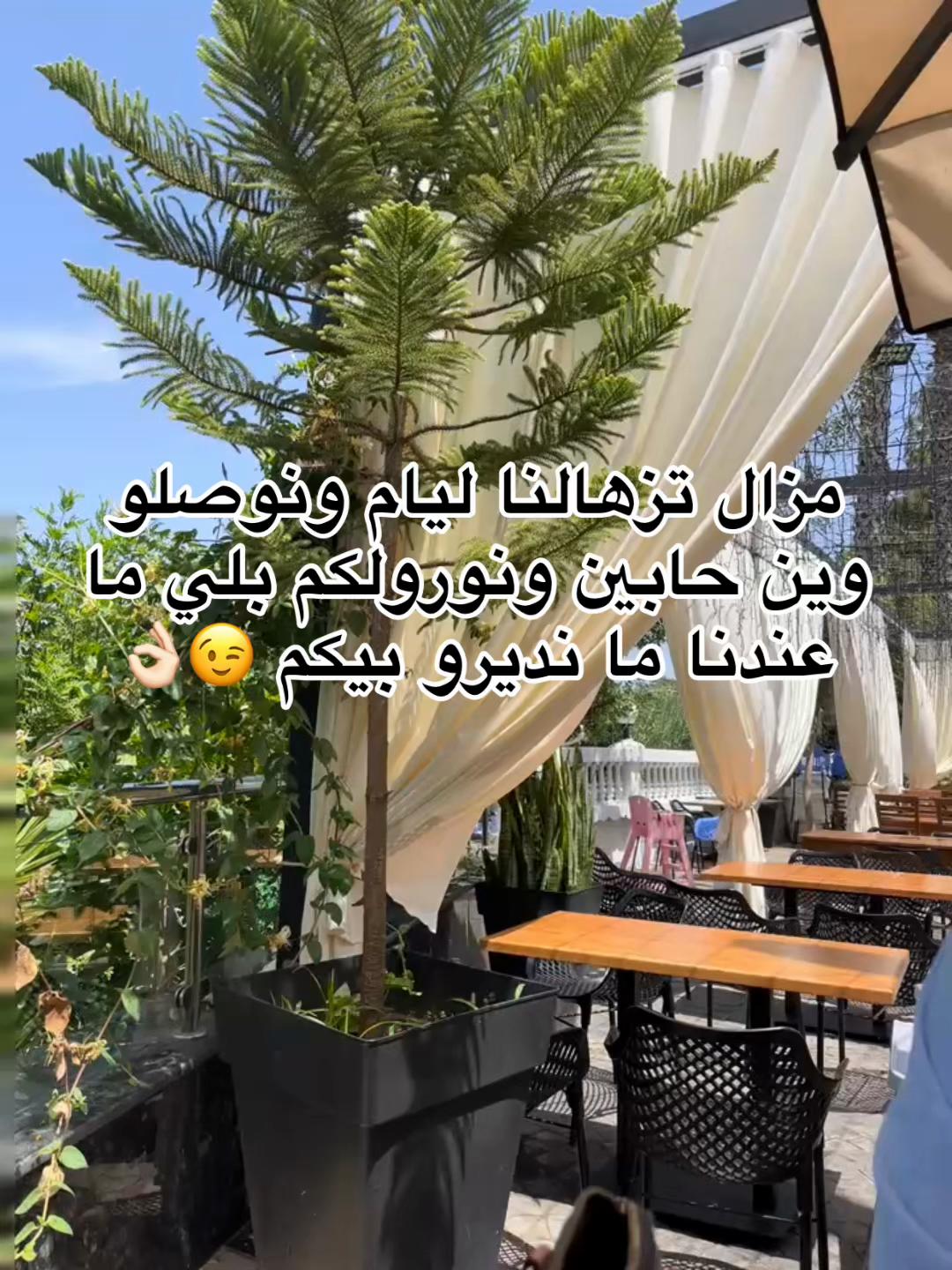 @Loulaa🐆